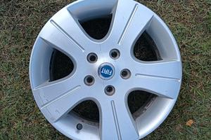 Cerchi 16 Fiat 5 fori 