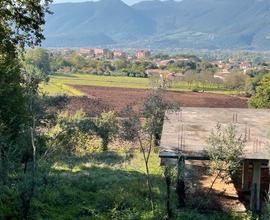 Terreno agricolo