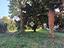 Immagine 13