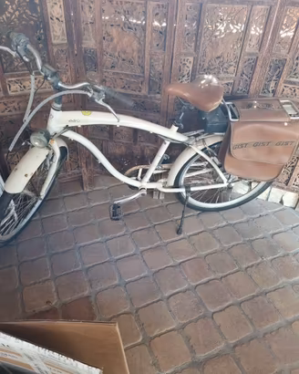 bici elettrica 