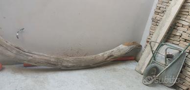 tronco in ginepro arcato da 6 m