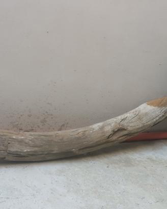 tronco in ginepro arcato da 6 m