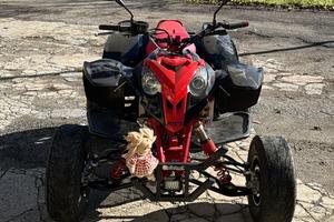 Quad polarsi predator 500