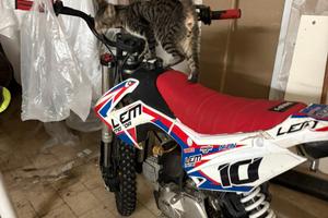 Lem 110