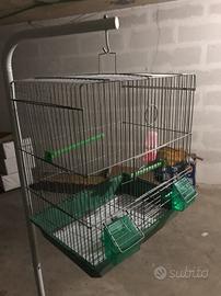 Gabbiette per uccellini