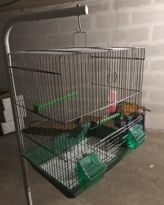 Gabbiette per uccellini