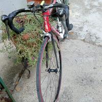 Bicicletta corsa Wilier