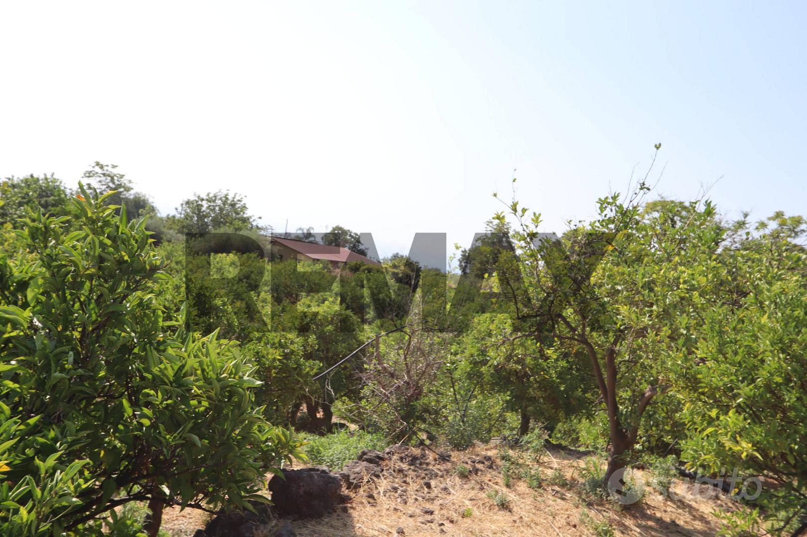 Terreno - Mascali - Vista 3