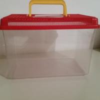 Vasca pesci plastica 4 litri