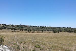 Terreno con vista mare C.da San Biagio s.n.c