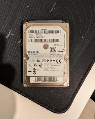 Hard Disk 2.5" Samsung HM250HI 250GB SATA - Usato