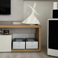 Amplificatori monofonici Xindak 8800MNE