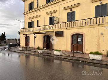 ATTIVITÀ A SOMMA VESUVIANA