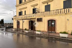 ATTIVITÀ A SOMMA VESUVIANA