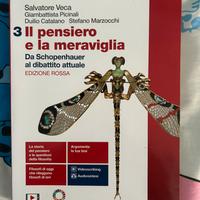 Libro Il pensiero e la meraviglia 3