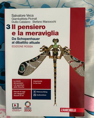 Libro Il pensiero e la meraviglia 3