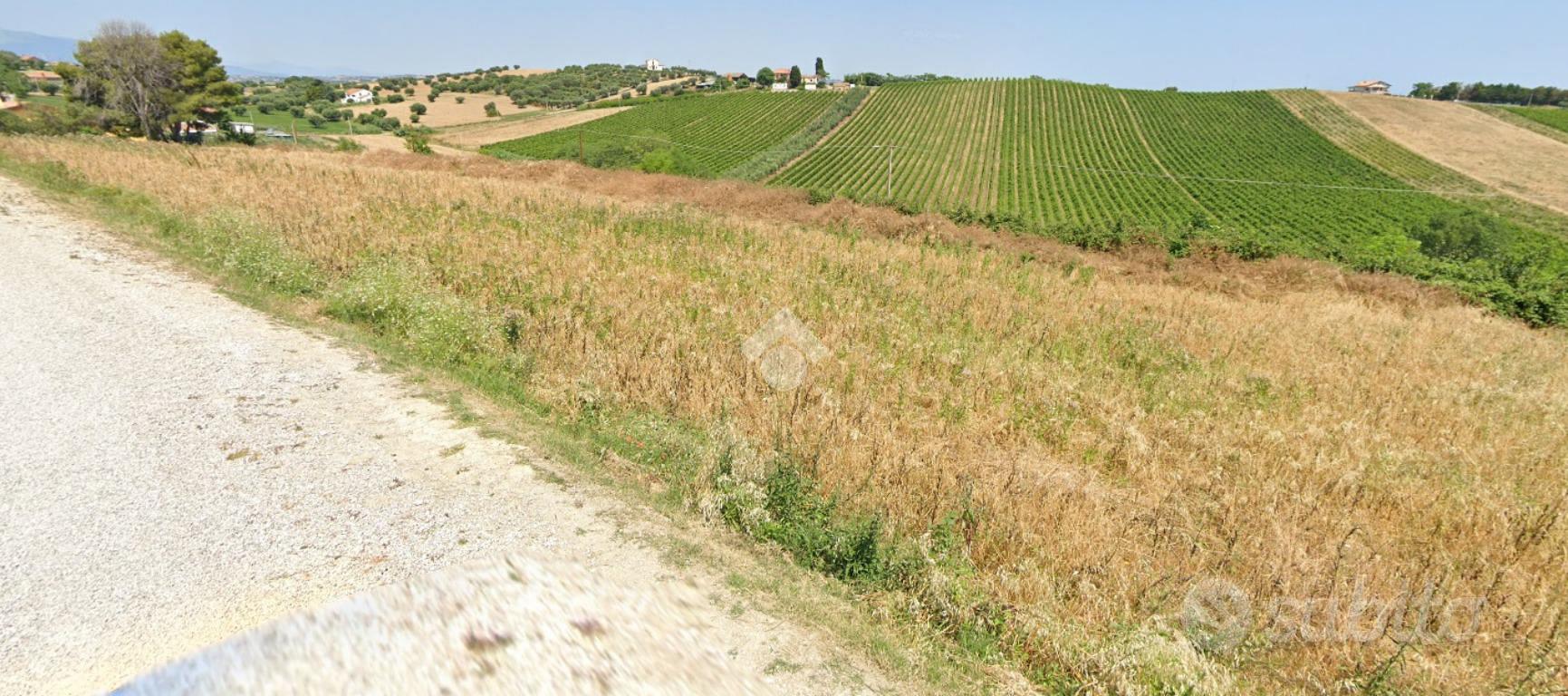TER. AGRICOLO A ROSETO DEGLI ABRUZZI - Altro