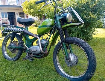 Testi Trail 