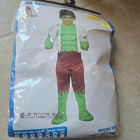 vestito carnevale hulk