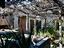 Immagine 18