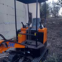 Eacavatore 10 q.li cinese