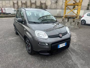 Fiat Panda Hybrid City Life 2022 FINANZIABILE