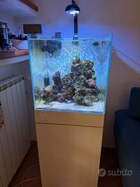 Acquario Marino Aqpet 50x50x50
