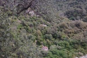 Rustico + terreno