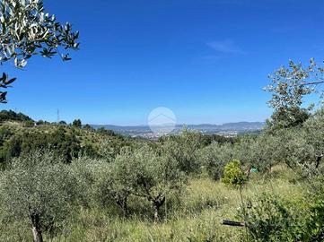 TER. AGRICOLO A TERNI