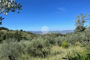 TER. AGRICOLO A TERNI
