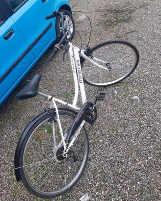 Bicicletta