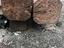 Immagine 2