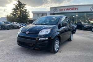 FIAT Panda 1.0 FireFly S&S Hybrid Icon