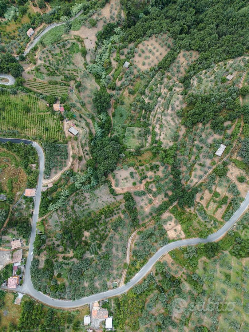 INVESTIMENTO STORICO E PRODUTTIVO Terreno 2ettari - Vista 2