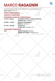 Autoriparatore meccatronico