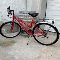 Mountain bike uomo/donna