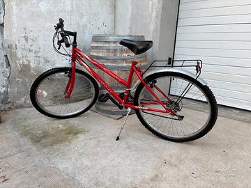 Mountain bike uomo/donna