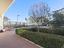 Immagine 19