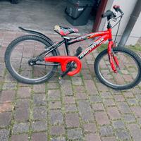 Bicicletta 20
