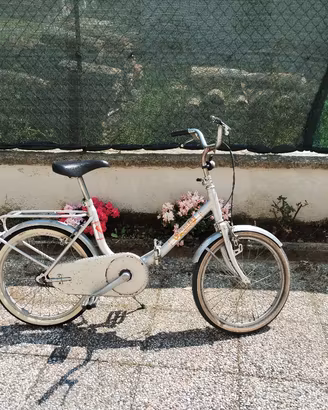 Bici pieghevole Vicini