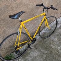 bicicletta da passeggio 