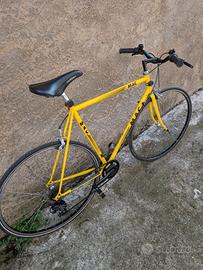 bicicletta da passeggio 