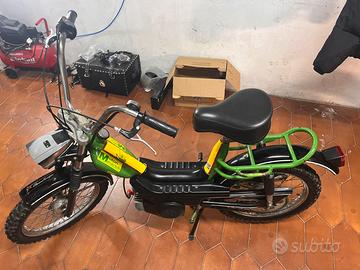 Morini Tubone Cambridge