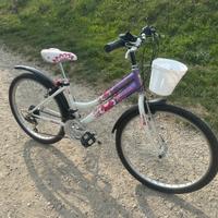 Bicicletta ragazza 24