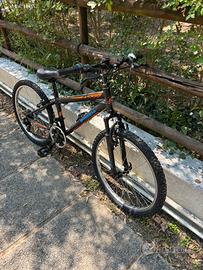 Mtb 24