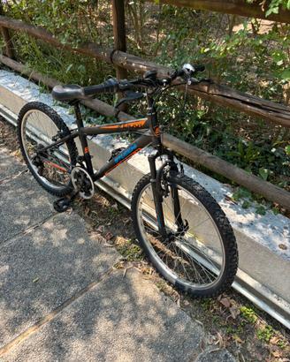 Mtb 24