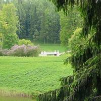 Giardiniere manutenzione verde