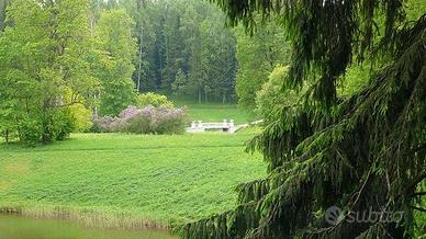 Giardiniere manutenzione verde