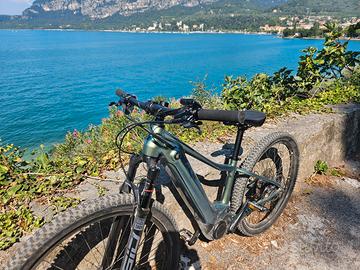 Giant Liv E bike