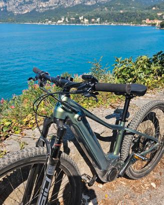 Giant Liv E bike